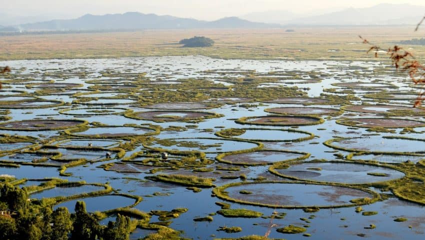  The Loktak Lake in Manipur, the green circles are the indigenous Phumdi's found in the Loktak lake.