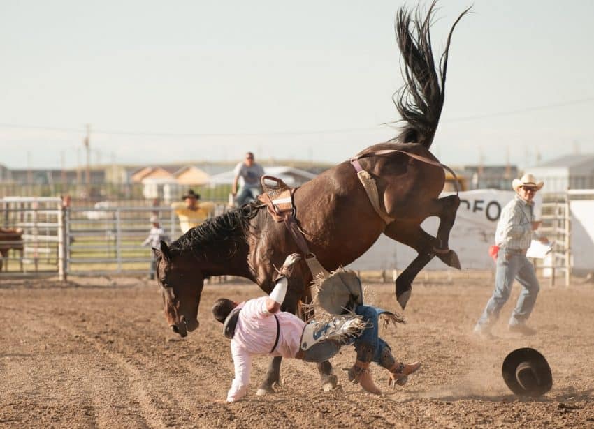The Indian National Finals Rodeo is one component of the North American Indian Days event that takes place in July on the Blackfeet Indian Reservation.