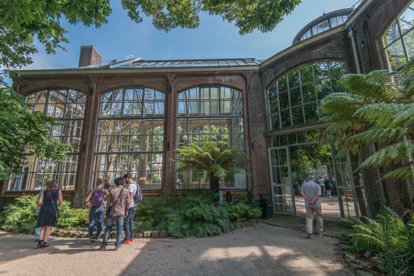 The Palm Greenhouse is a historic building and architectureal gem that dates from 1911. Photo Credit: Koen Smilde Photography