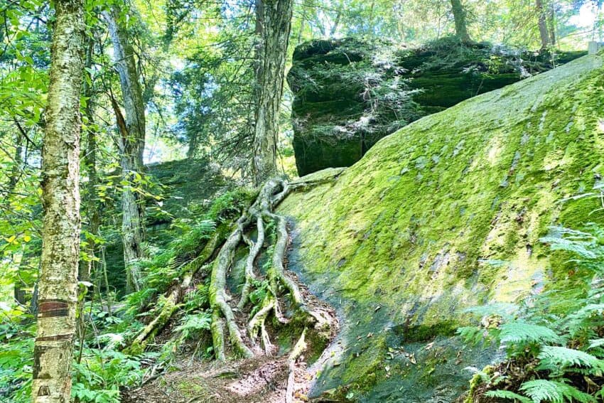 Panama Rocks Scenic Park is a one-of-a-kind hike in deep woods around boulders and rock crags. Mary Gilman photos.