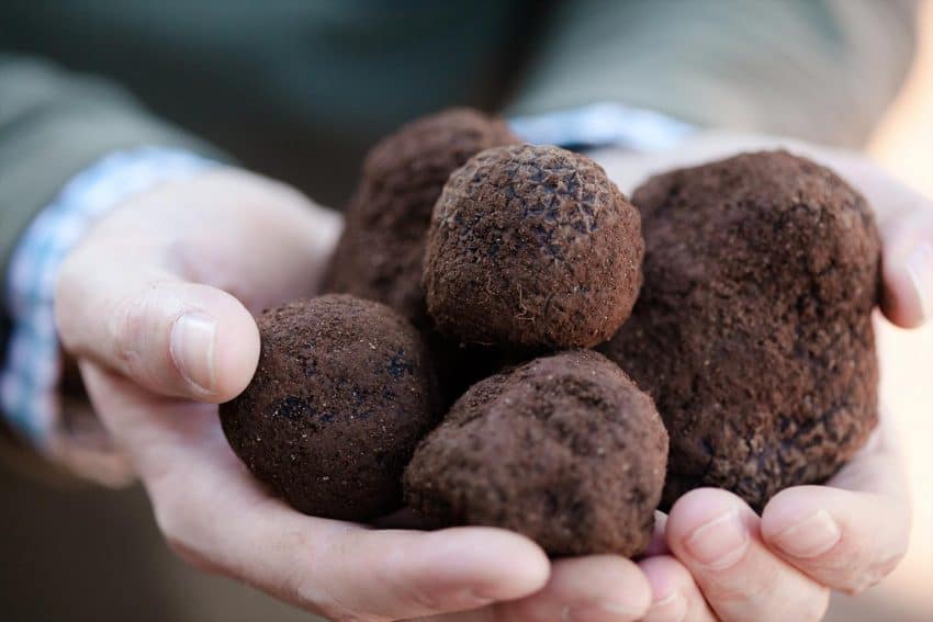 A handful of truffles