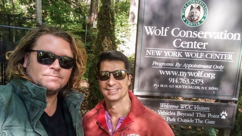 The Wolf Conservation Center in South Salem, New York, a hidden gem with appointments-only visits.