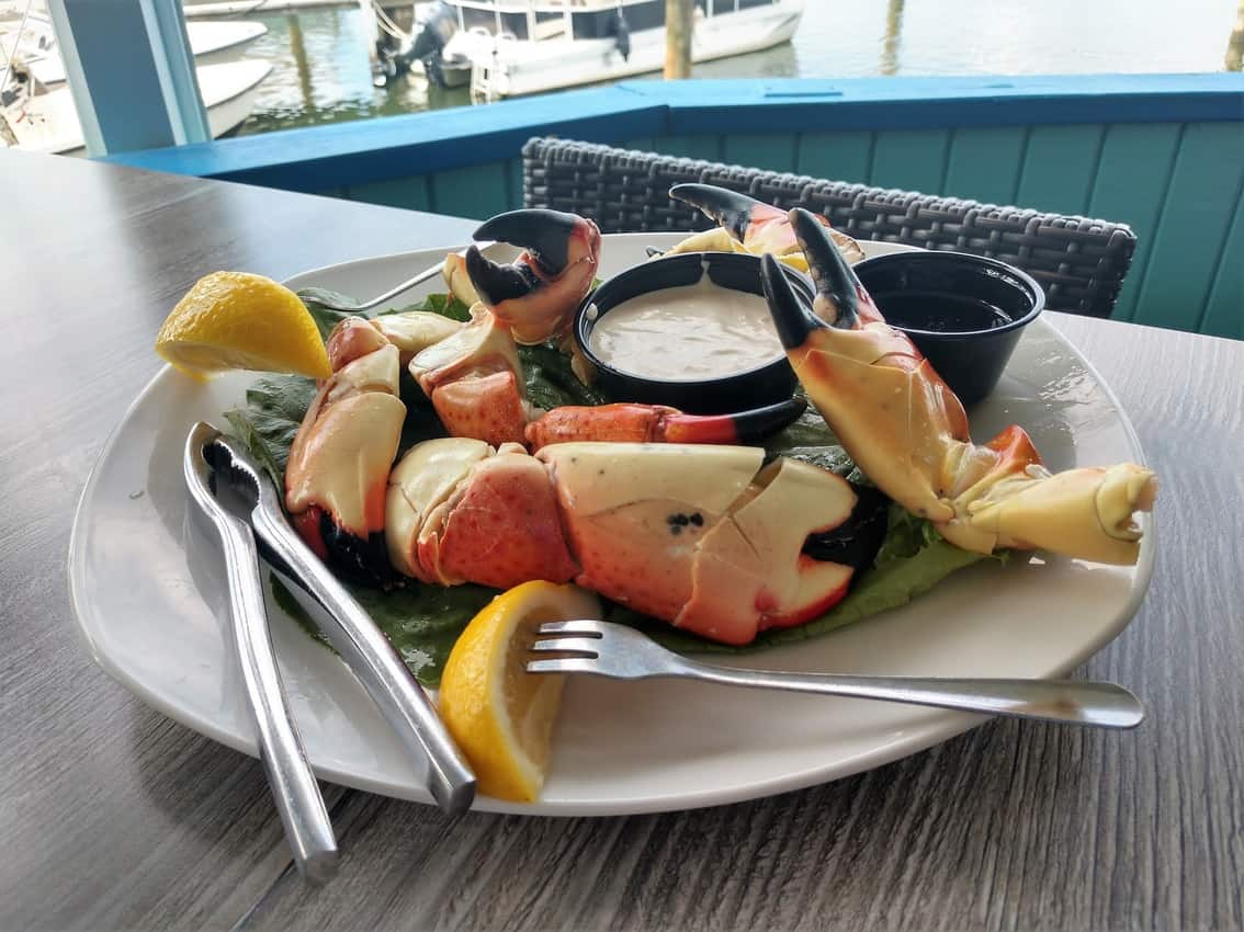 Stone Crab at the Dry Dock, Venice, Florida.