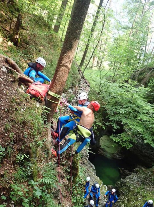 descending through forest into canyon