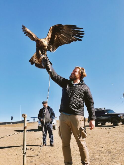 falcon on the hand