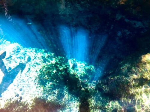 Sunlight Filtering through Cave Opening at Yax Muul