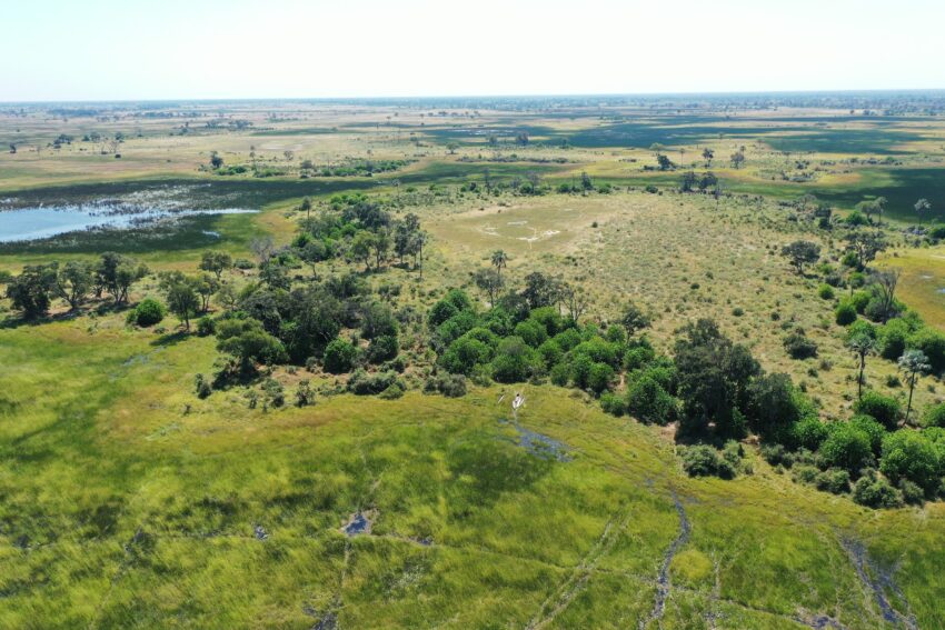 Wild lands in the Okavango Delta. 