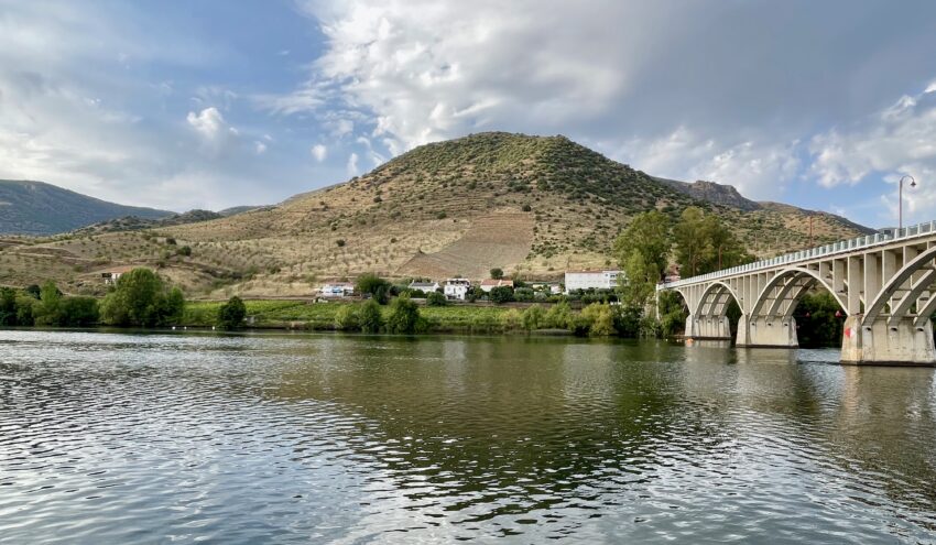 The unspoiled and remarkably beautiful Douro river's banks are dotted with olive trees, terraced vineyards and almond groves with very little development.