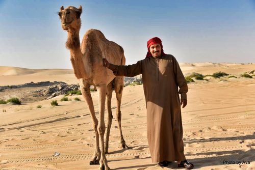 camel tender