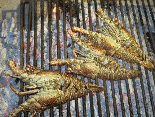 Lobsters from Providenciales waters
