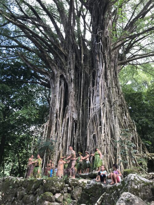 Marquesan dancers performing a traditional war dance beneath a huge banyan tree.