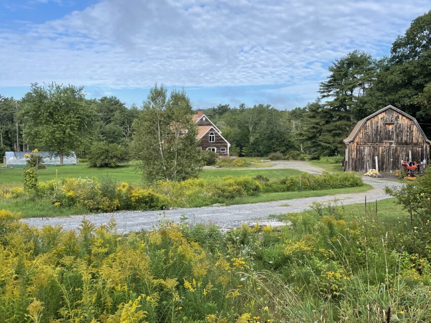 Maine Farm scene: Why I traveled in 2021