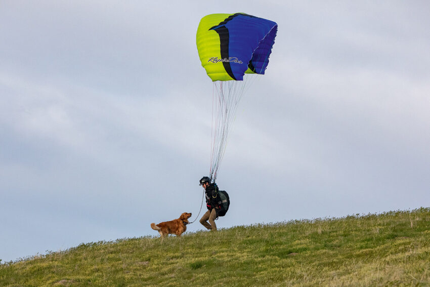 Andrew paragliding with Kicker the Dog.