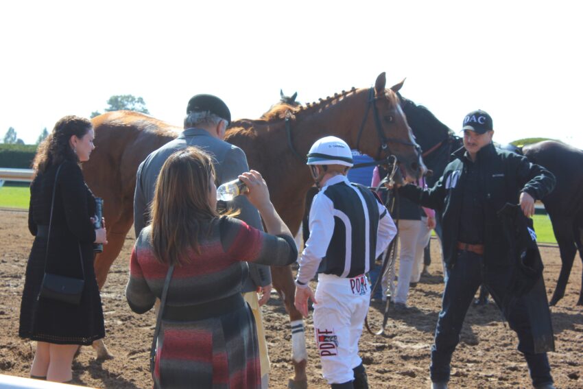 Folks at the Keeneland Racetrack Lexington are making sure the horses are ready