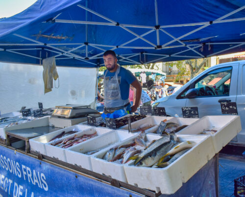 Fresh Fish Merchant in the Casanyes Market