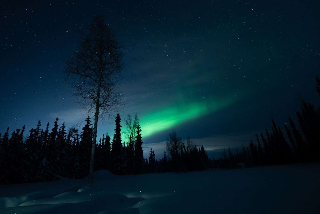 Aurora Boreal  Explore Fairbanks, Alaska