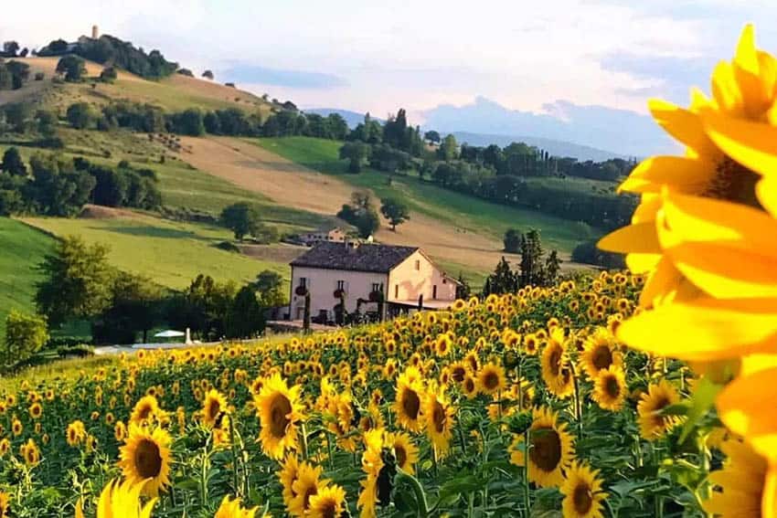 B&B experience - Casale delle Rondini in Le Marche, italy.