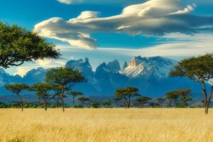 African Landscape / Thomas Bennie photo