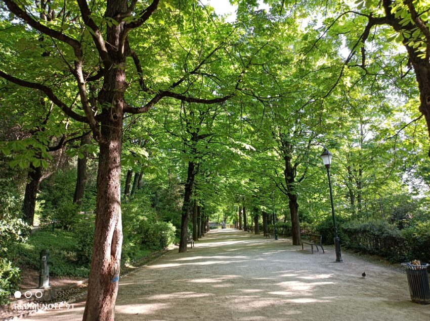 Le Parc des Hauteurs is near the Basilica in Lyon.