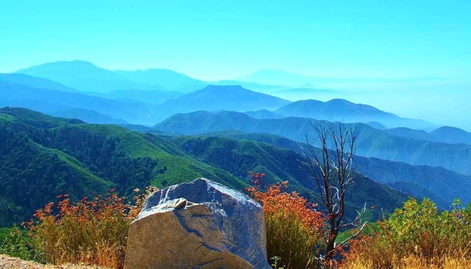 The San Bernadino Mountains in California. Noreen Kompanik photos.