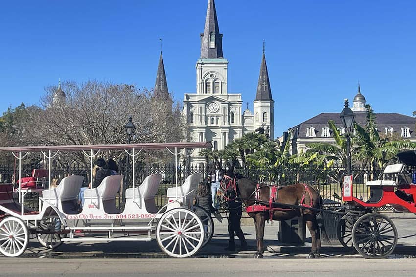 new orleans carriage