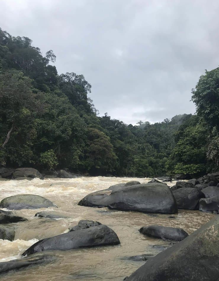 The Rajang River in Borneo from the shore
