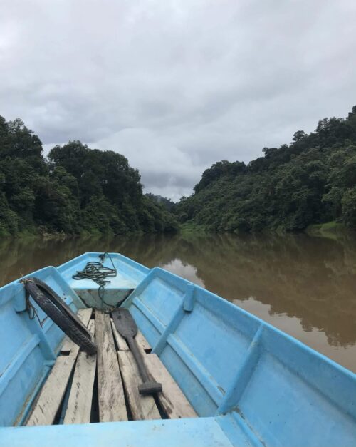 Calm section of the Rajang River.