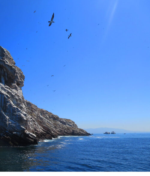 The Islas Marietas, located southwest of Punta de Mita peninsula in Mexico, are home to many seabirds, including frigate birds, pelicans and rare blue-footed boobies