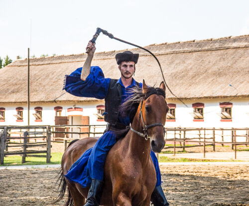 Whips simulated gunshots during battle so horses would get used to the sound.