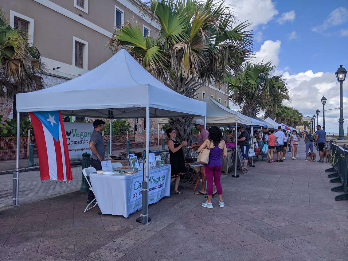 Old San Juan's farmers market takes place every Saturday from 8 am to 12 pm and is located near El Morro