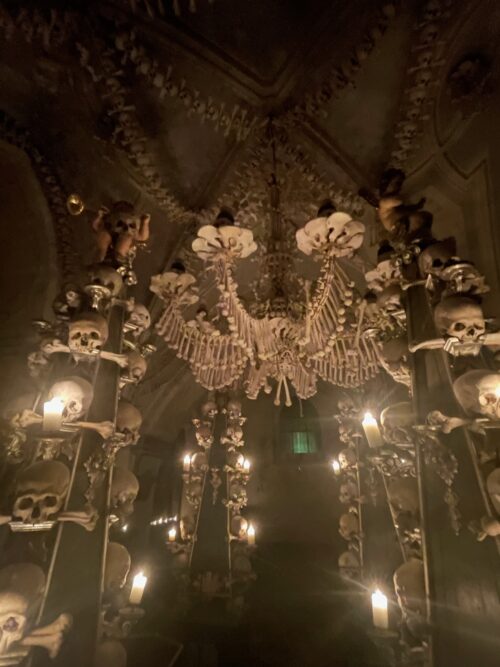 This chandelier features one of every bone in a typical human's body in the Sedlec Ossuary.