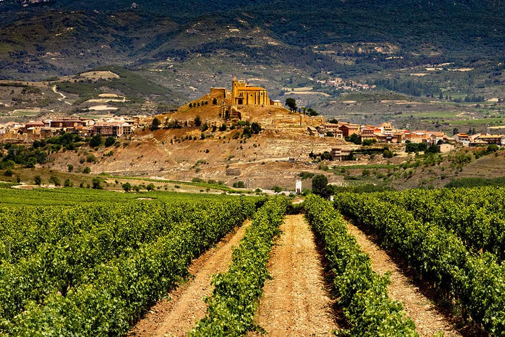 vineyards in Birones la-rioja-spain
