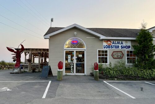 We had the best steamed lobster at Alma Lobster Shop—third-generation fisherman and family-owned © S. Kurtz