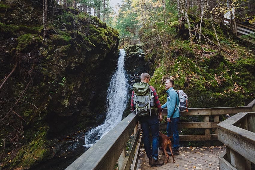 Dickson Falls loop trail passes through a coastal forest of spruce and fir © Tourism