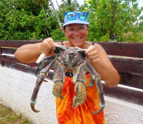 Coconut Crab in Tahiti