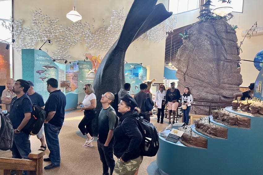 The Hopewell Rocks Interpretive Center has multi-media exhibits and friendly interpreters who can answer your questions © S. Kurtz