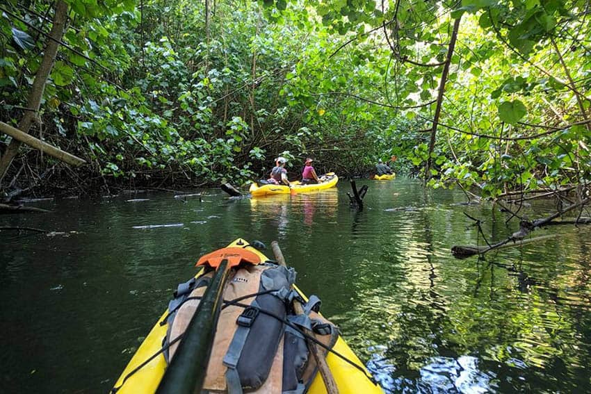 Kayaking the Wailua River