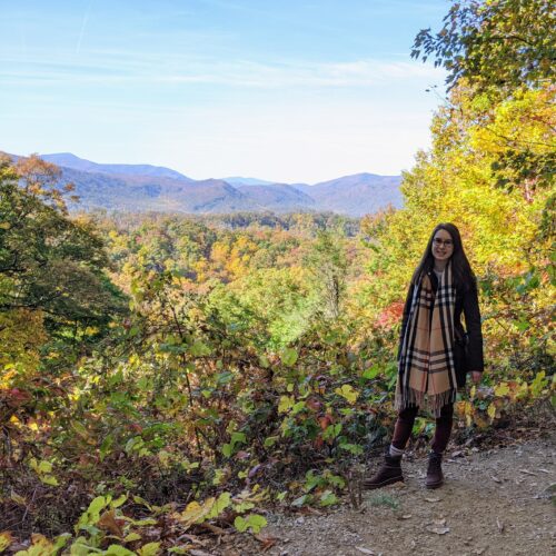 The author enjoys just one of the many scenic pullovers along the Roaring Forks Motor Nature Trail in Great Smoky Mountains National Park.