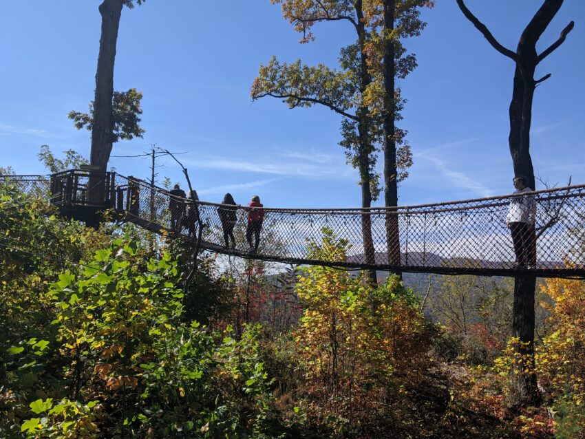 Anakeesta's Treetop Skywalk is a series of interconnected platforms and hanging bridges in the trees.