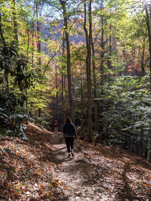 Take the time to hike some of the trails off of Foothills Parkway for an added adventure.