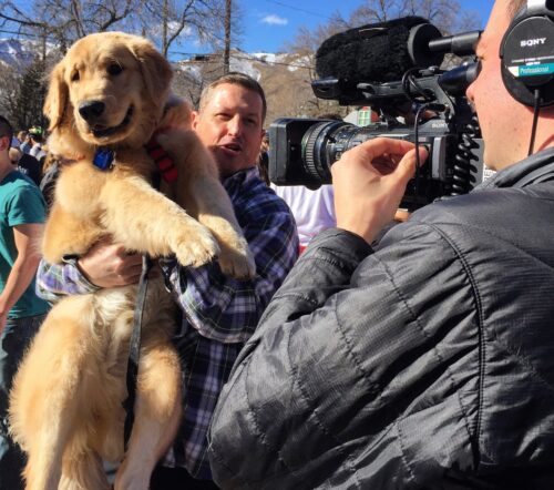 Every Golden wants to be on TV.