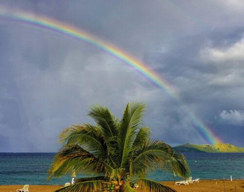 Rainbow of Nevis's Coast (TabHauser)