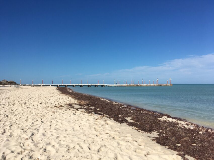 Sisal was once a bustling port