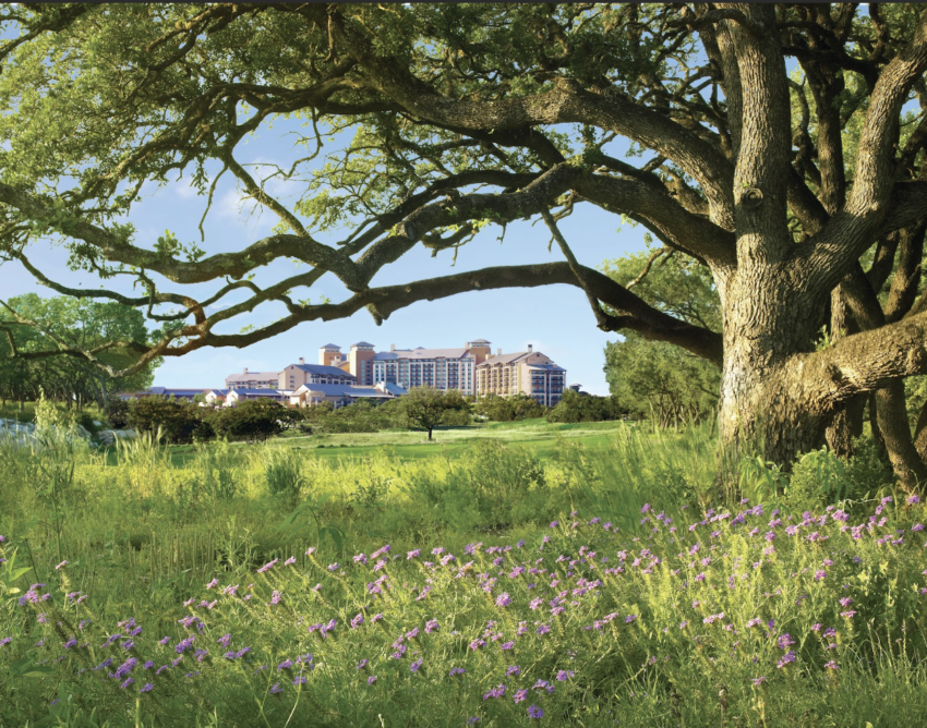 The huge JW Marriot San Antonio Texas Hill country resort sits on hundreds of acres of rolling hills, with 36 holes of championship golf courses.