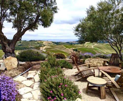 Hard to beat these magnificent views from DAOU Vineyards & Winery