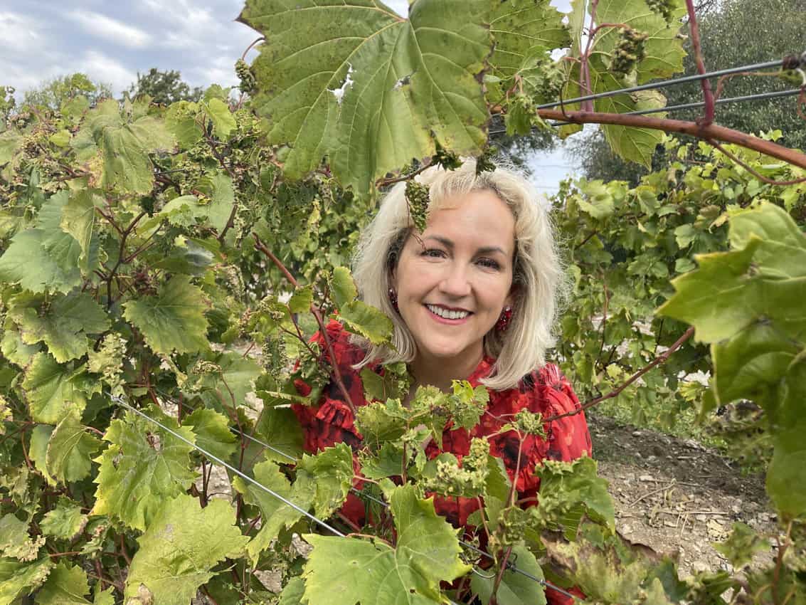 According to MacLean, in the tasting room at her beloved vineyards, she "drank the wine to make the sun and soil part of me. Then I wrote about it to metabolize my feelings and digest its sensuality."