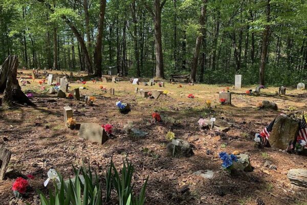 Coon dog graveyard