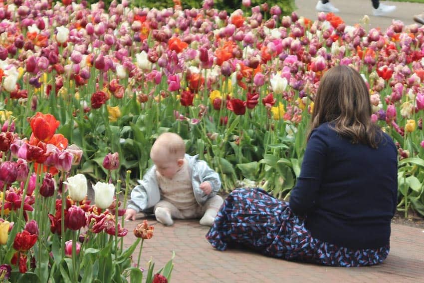 baby with tulips