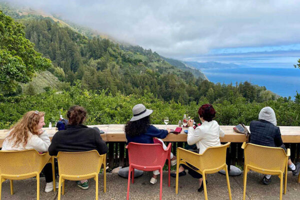 The backdrop of the Nepenthe/Phoenix Café in Big Sur looks like it was painted, but it's really there. The landslide that closed the highway is out there somewhere in the photo, but the road is open to the famous restaurant.