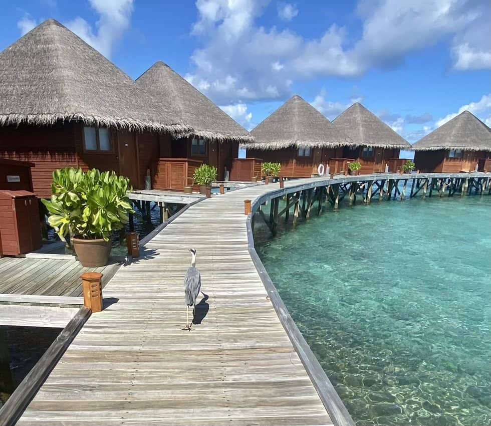 Over-water luxury villas at Mirihi Island Resort in The Maldives.